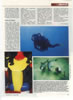 Octopus Avril 1999